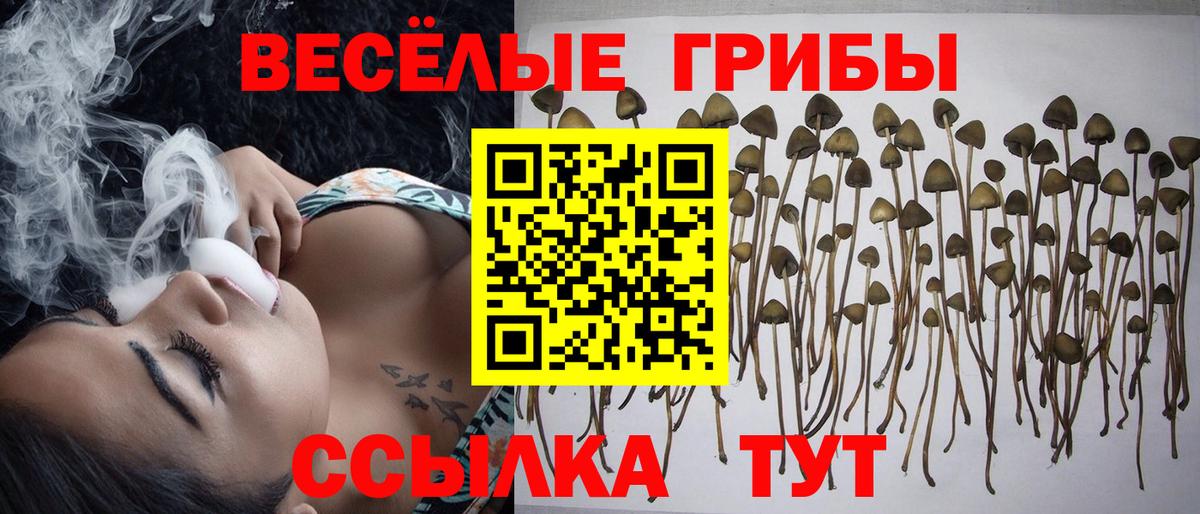 Новый Уренгой  Псилоцибиновые грибы GOLDEN TEACHER  Вход с VPN 
